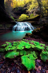 Cosy multistream waterfall with yellow trees and green grass