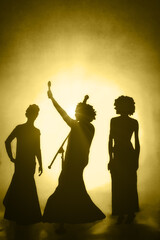 Illustration of 3 black women on stage with microphone.