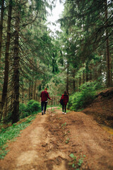 Man and woman hikers in red shirts walking on a mountain road in a coniferous forest, view from the back. Vertical