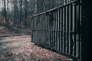 An old metal container stands in the forest. A mysterious black container is set in the middle of the forest