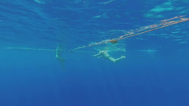 Floating people under water in the sea ryad with buoy ropes