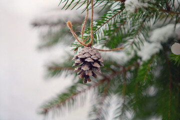 pine cone with rope on christmas tree. snow and winter time. Christmas wallpaper. Spruce branches