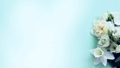 Obraz na płótnie Canvas White daffodils on a light blue background. Spring flower arrangement. Background for a greeting card.