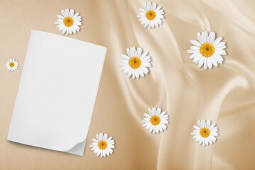 Flatlay of aesthetic styled invitation template. Blank paper sheet card with chamomile flower