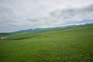 Green meadows in the mountains of Dagestan