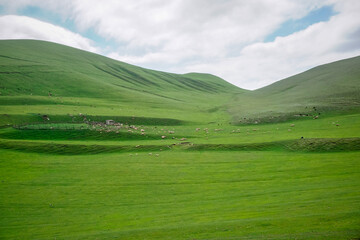 Fototapeta premium Green meadows in the mountains of Dagestan