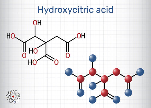 Hydroxycitric acid, HCA molecule. It is derivative of citric acid. Structural chemical formula, molecule model. Sheet of paper in a cage