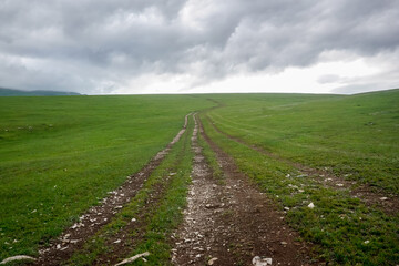 Fototapeta na wymiar Dirt road in the middle of a green field