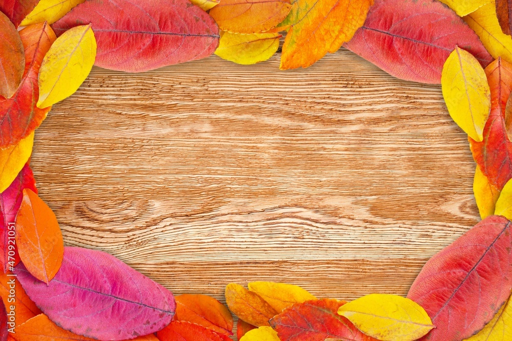 Sticker Colorful fall leaves on wooden boards. Festive autumn background,