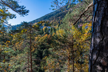 Panorama and details of the Slizza ravine in Autumn. Tarvisio.