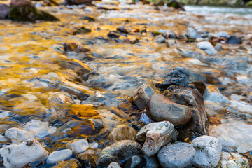 Panorama and details of the Slizza ravine in Autumn. Tarvisio.