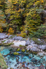 Panorama and details of the Slizza ravine in Autumn. Tarvisio.