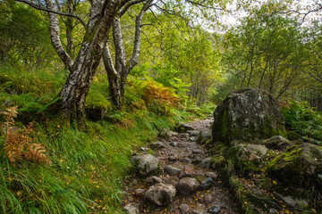 Fototapeta na wymiar Hiking Through the Nevis Gorge in the Scottish Highlands, UK.