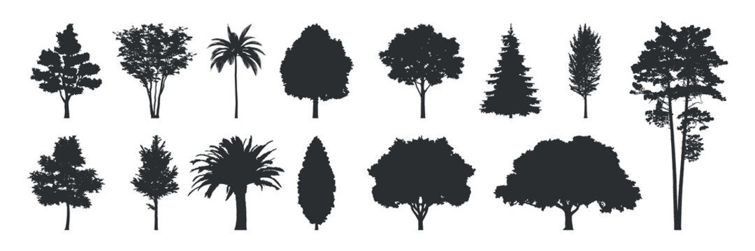 Tree silhouettes vector
