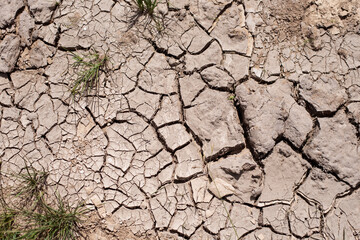 Dry cracked soil without grass, soil and grass dried up because there was no rain for a long time, selective focus. The concept of ecological crisis