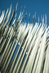 Obraz premium blue sky background