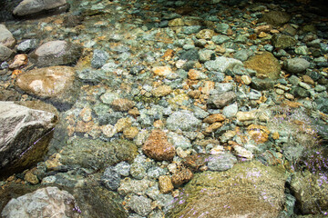 stones in water