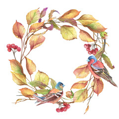 Watercolor illustration. Wreath of autumn leaves rowan berry and finch birds.