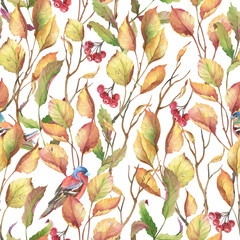 Watercolor illustration. Seamless pattern of autumn leaves rowan berry and finch birds. - 470930810