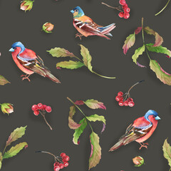 Watercolor illustration. Seamless pattern of autumn leaves rowan berry and finch birds.