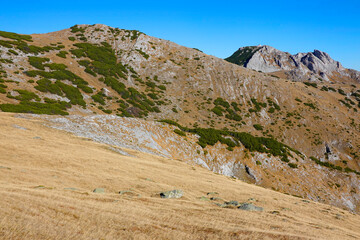 Autumn alpine landscape in National Park Retezat, Romania