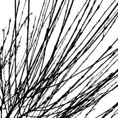 the background of the tree branch. Vector illustration