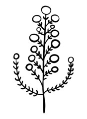 Hand drawn floral element for greeting cards, wedding invitations, poster design etc. Vector illustration on isolated background.