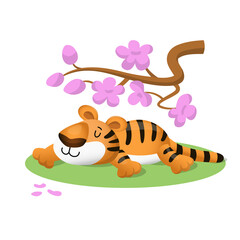 Funny lazy cartoon tiger lies on sakura branch. Vector illustration isolated on white background