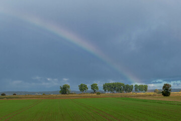 rainbow over the fields