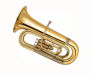 Obraz na płótnie Canvas Tuba, brass musical instrument