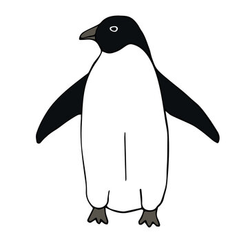Vector hand drawn doodle sketch colored penguin isolated on white background