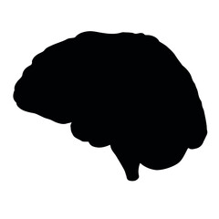 Vector hand drawn brain silhouette isolated on white background