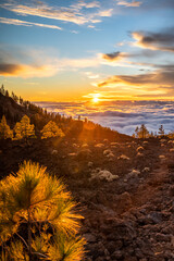 Wolkendecke mit Sonnenuntergang am lavabedeckten Hang des Teide auf Teneriffa