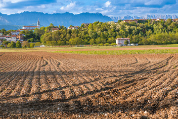 Hills and fields of Friuli in Spring. Cassacco