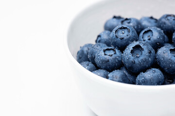 Blueberry fruit macro with dew drops background. Copy space.