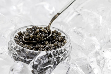 Glass can with natural black caviar with a silver spoon in ice cubes. Luxury food concept.