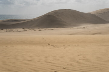 Te Paki Dunes in the north of New Zealand.