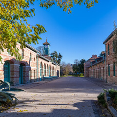 Paris, France, the Auteuil greenhouses, beautiful public garden in autumn
