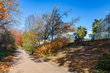 Fototapeta premium Paris, France, the Auteuil greenhouses, beautiful public garden in autumn 