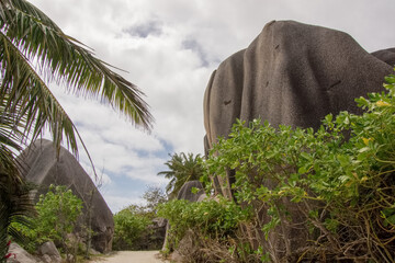 Obraz na płótnie Canvas Path with huge rocks and trees on the beach, Anse Source d'Argent in La Digue, Seychelles