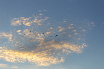 sky and clouds