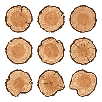 Round tree trunk cuts with cracks, sawn pine or oak slices, lumber. Saw cut timber, wood. Brown wooden texture with tree rings. Hand drawn sketch. Vector illustration