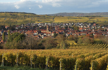 Fototapeta na wymiar Alsace, vignes