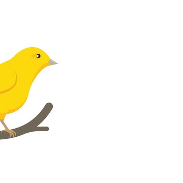 canary bird icon vector illustration concept design