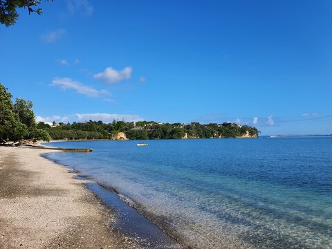 Cockle Bay Views