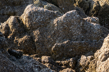 stone over sea water on the beach in sunny day