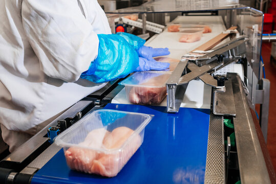 Modern poultry processing plant.Automated production line in modern food factory.Factory for the production of food from meat.Conveyor Belt Food.