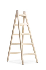 Studio shot of a white wooden ladder