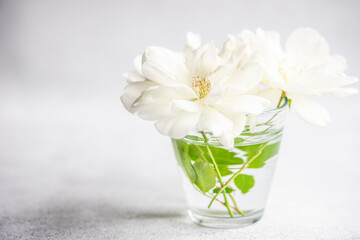 Blooming white rose flowers in bouquet