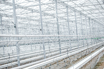 Interior of an Empty Industrial Greenhouse